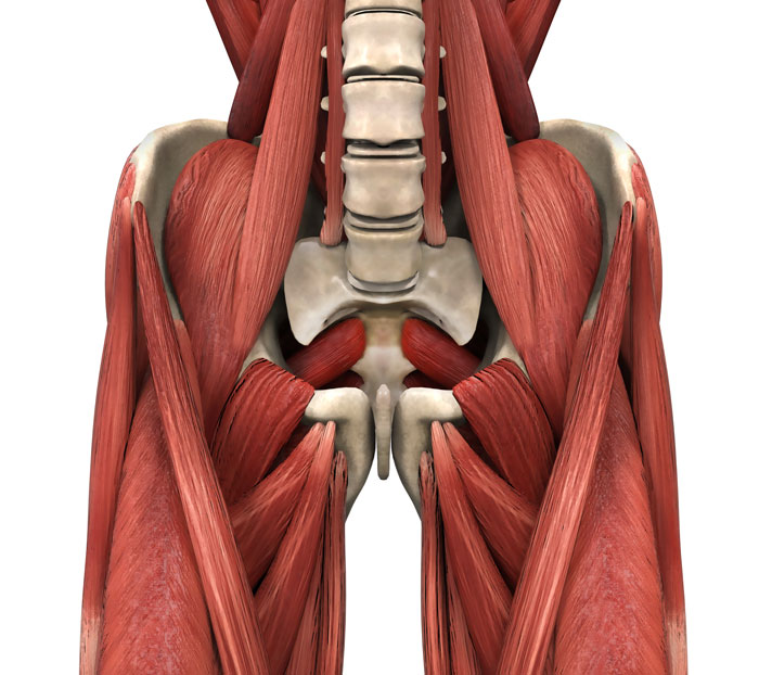 Psoas Diagram